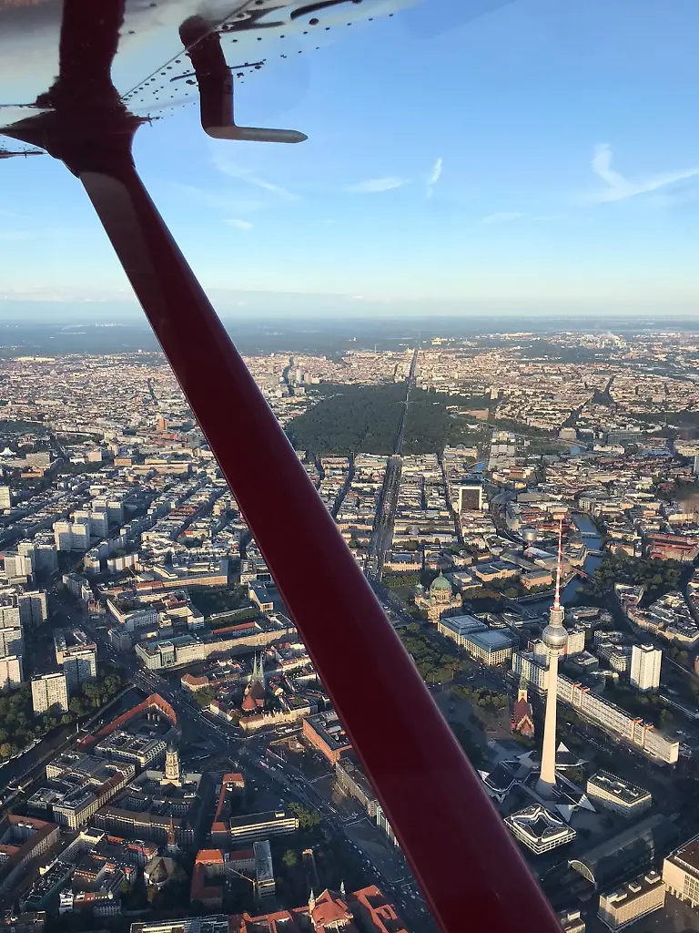 Berlin von oben Tiergarten.jpg